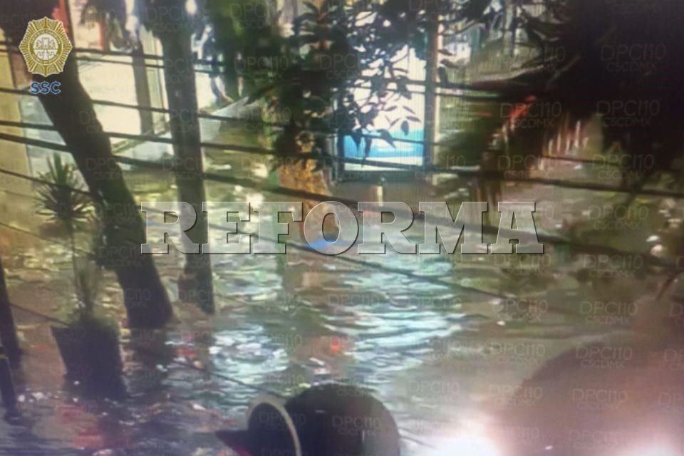 সিডিএমএক্স বন্যা এবং পতিত গাছ রেকর্ড করে