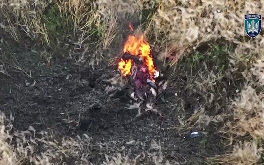 স্ট্রাইকিং ইউক্রেনীয় ড্রোন হামলার পরে রাশিয়ান আক্রমণকারীটির দেহটি আগুনে covered াকা ছিল। ভিডিও